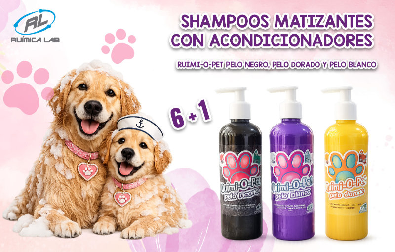 Promociones Mayo 2026