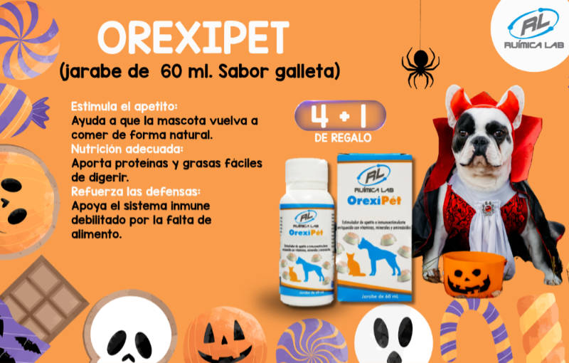 Promociones Septiembre 2026
