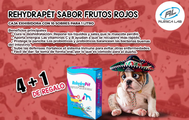 Promociones Septiembre 2026