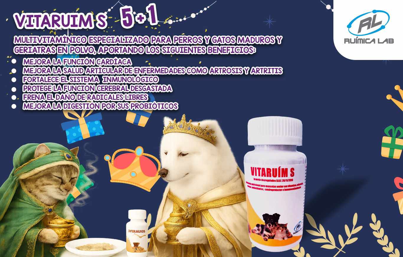 Promociones Enero 2026