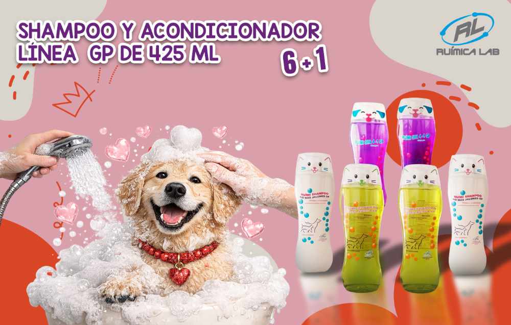 Promociones Febrero 2026