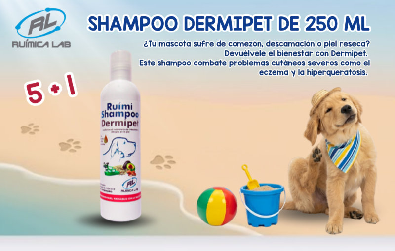 Promociones Julio 2026