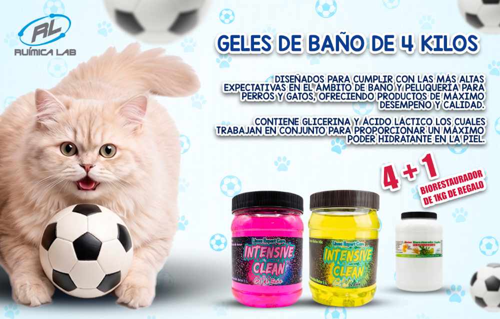 Promociones Junio 2026