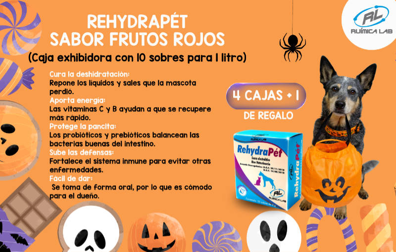 Promociones Septiembre 2026