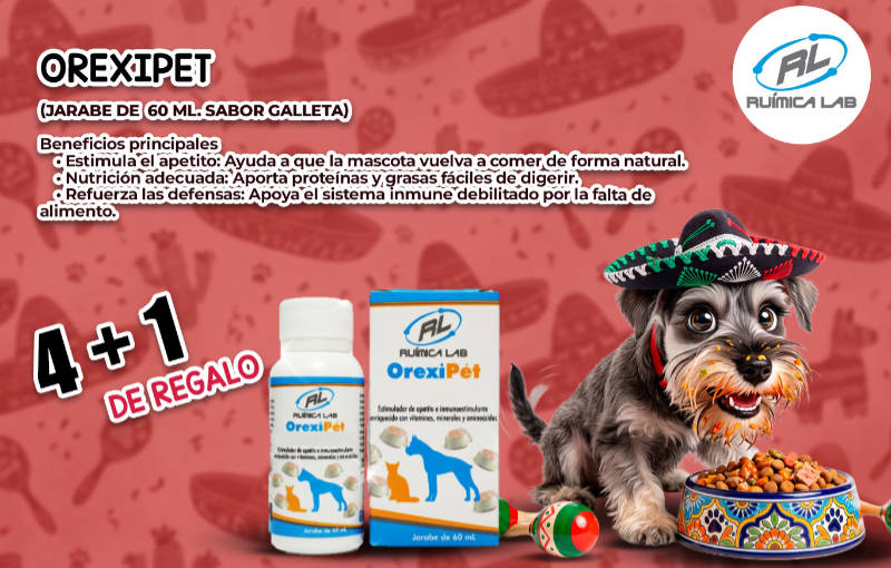 Promociones Septiembre 2026