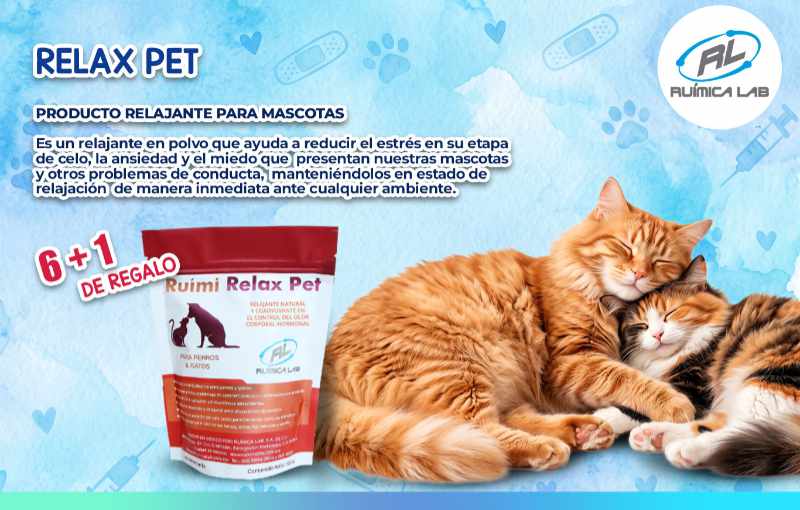 Promociones Agosto 2026