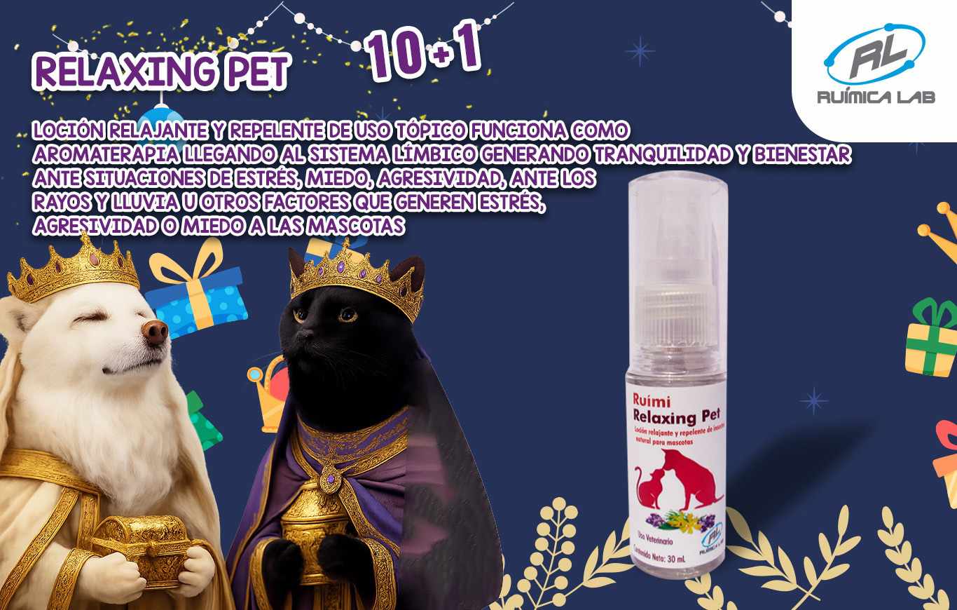 Promociones Enero 2026