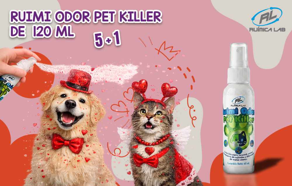 Promociones Febrero 2026