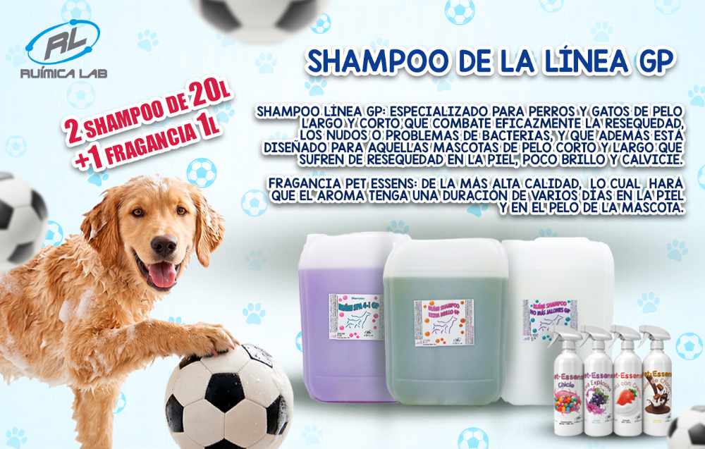 Promociones Junio 2026