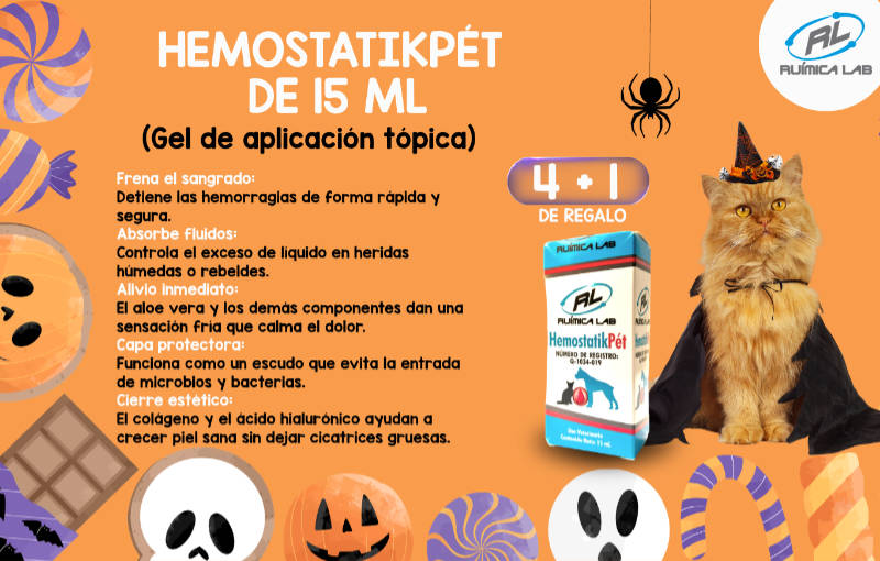 Promociones Septiembre 2026