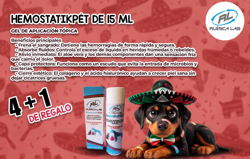 Promociones Septiembre 2026