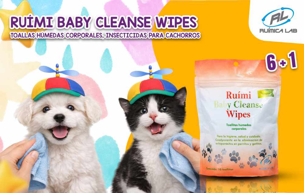 Promociones Marzo 2026