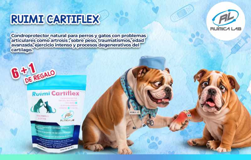 Promociones Agosto 2026