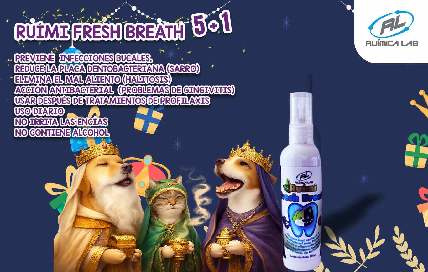 Promociones Enero 2026