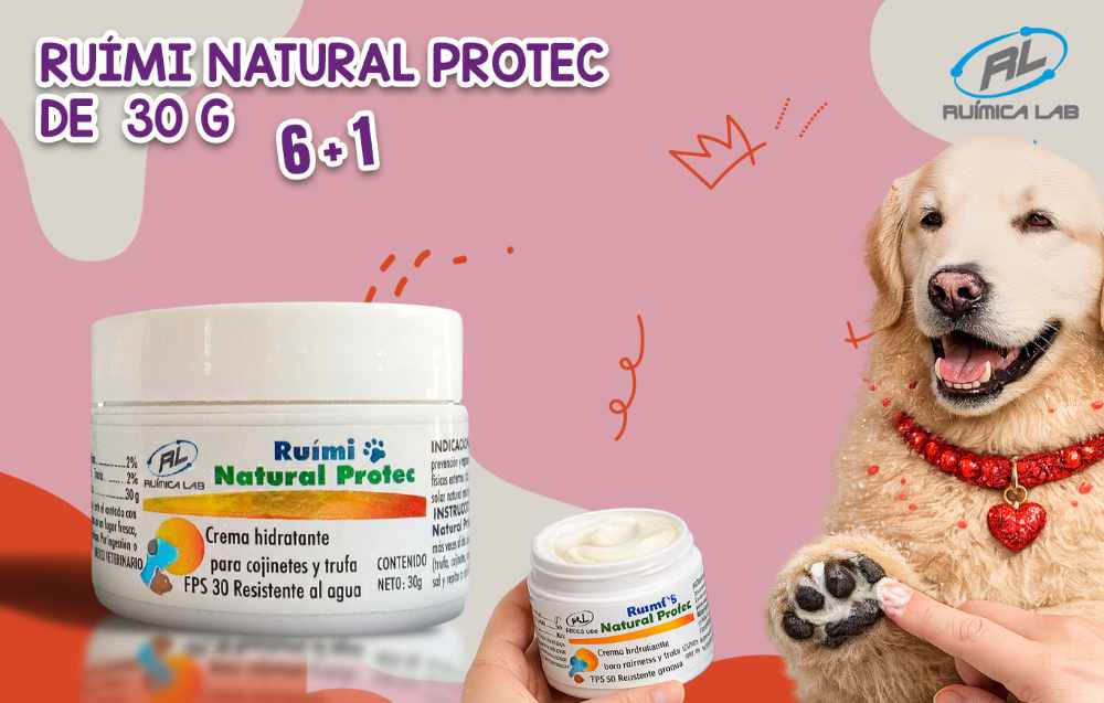 Promociones Febrero 2026