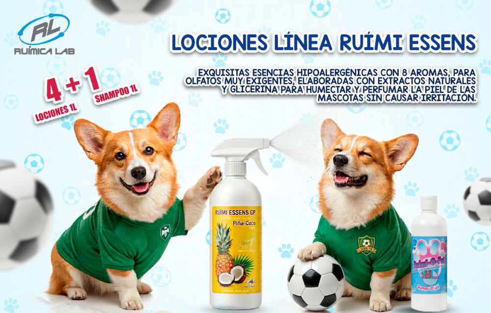 Promociones Junio 2026