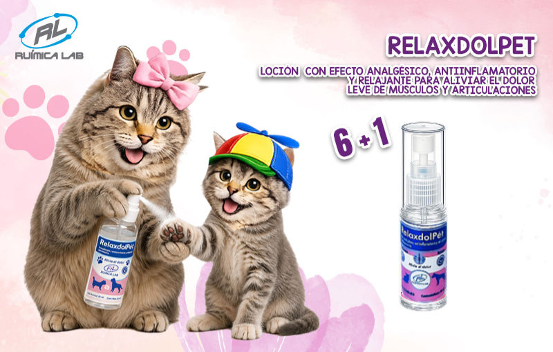 Promociones Mayo 2026
