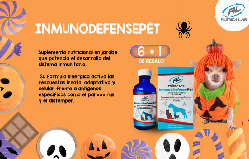 Promociones Septiembre 2026