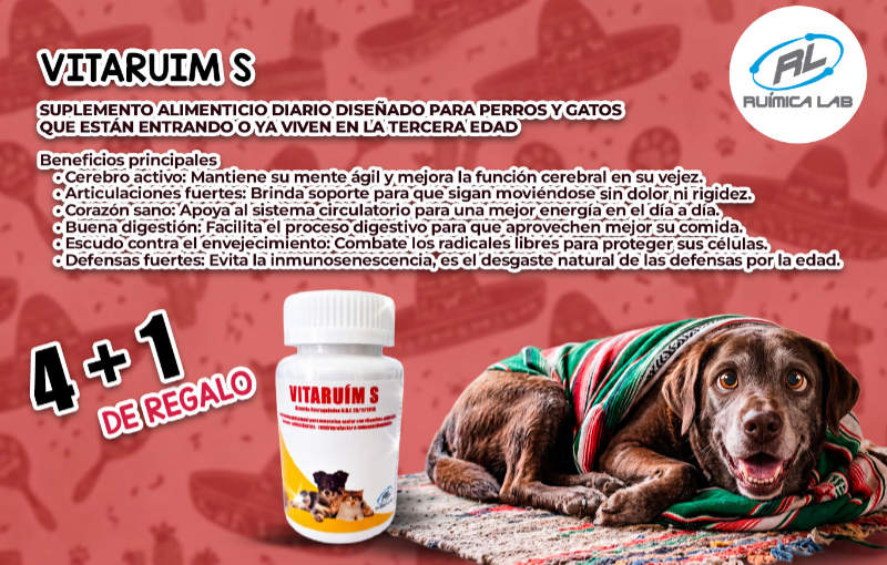 Promociones Septiembre 2026