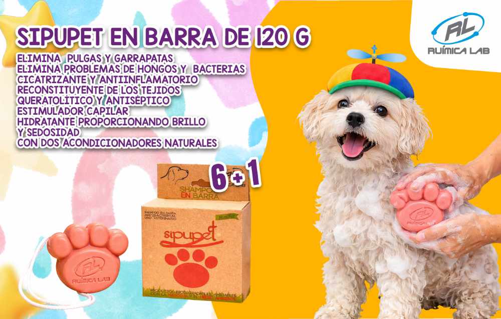 Promociones Marzo 2026