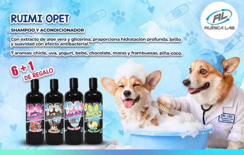 Promociones Agosto 2026