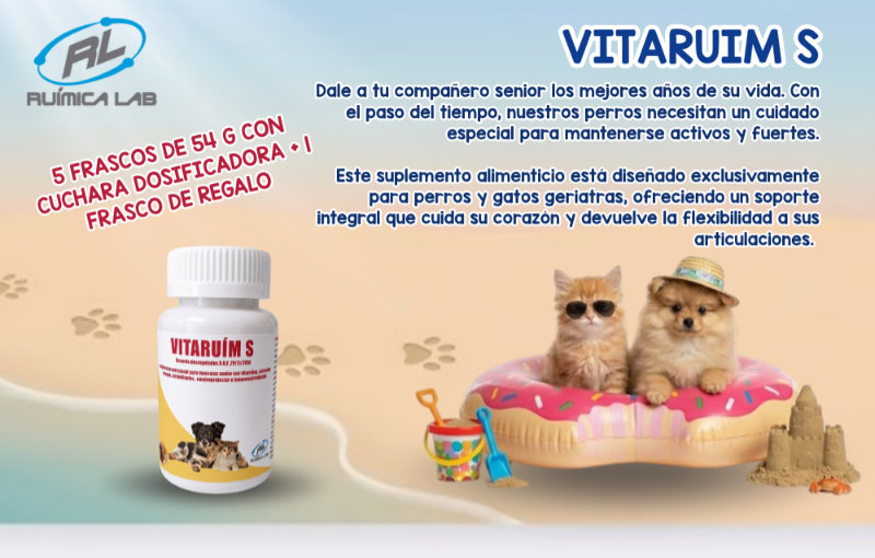 Promociones Julio 2026