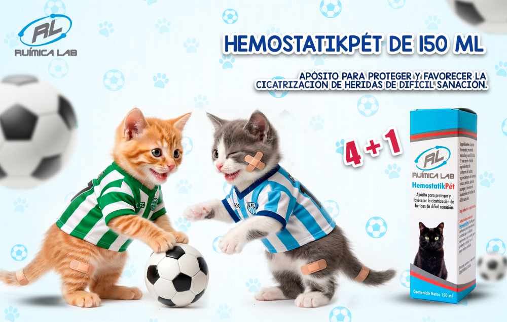 Promociones Junio 2026