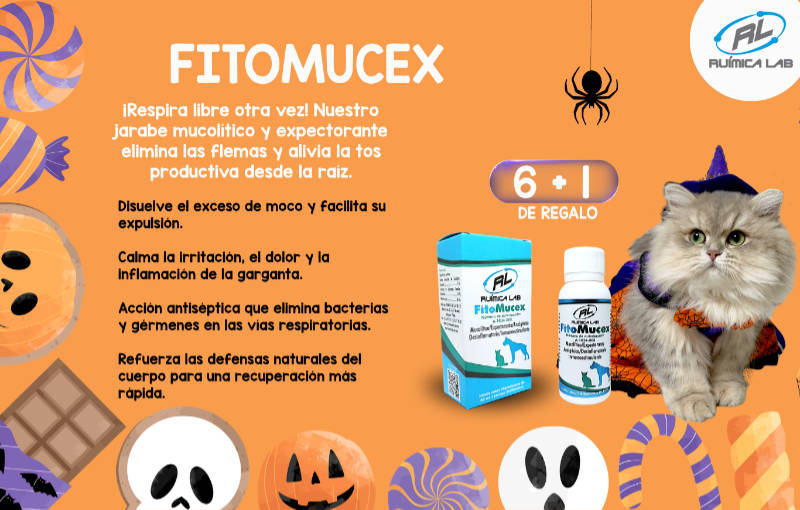 Promociones Septiembre 2026