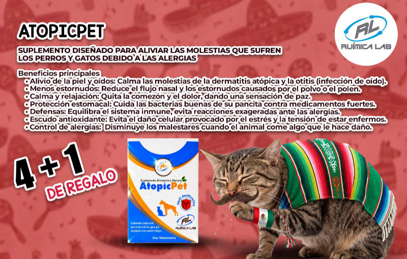 Promociones Septiembre 2026