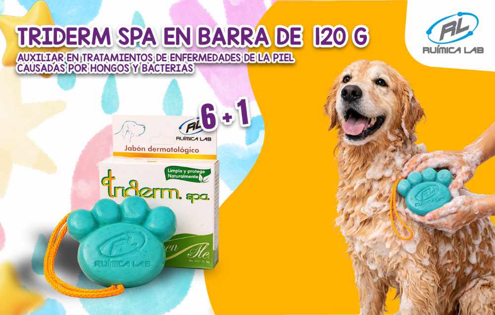 Promociones Marzo 2026