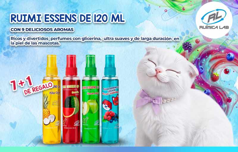 Promociones Agosto 2026