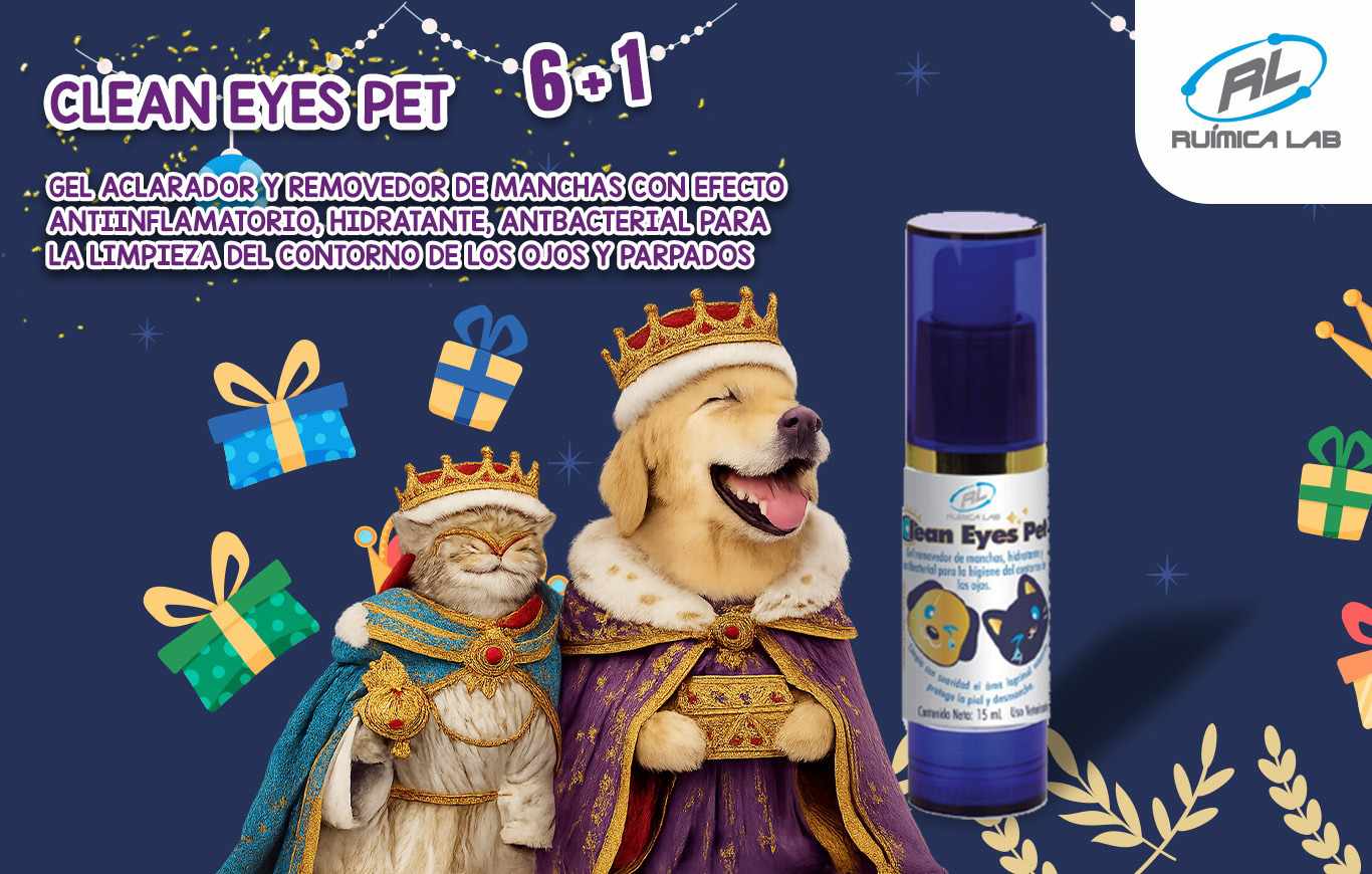 Promociones Enero 2026