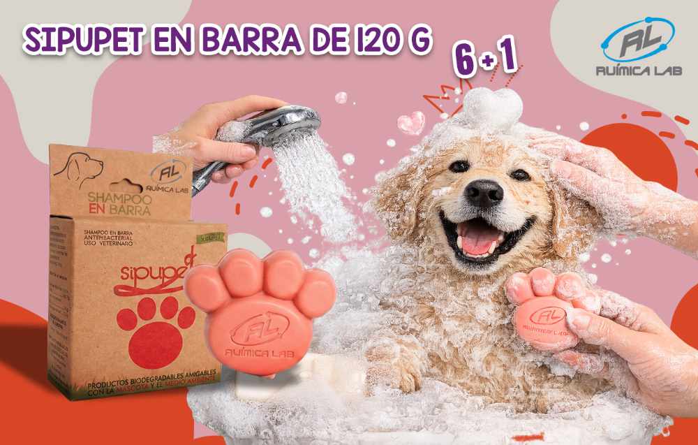 Promociones Febrero 2026