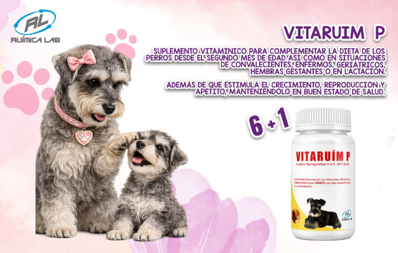 Promociones Mayo 2026