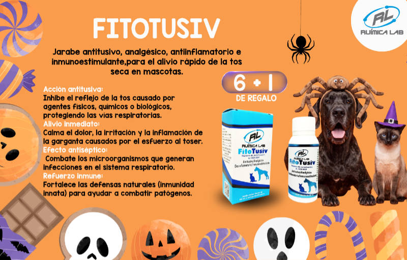 Promociones Septiembre 2026