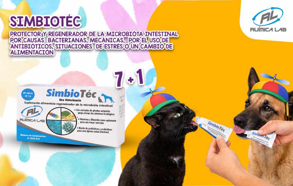 Promociones Marzo 2026