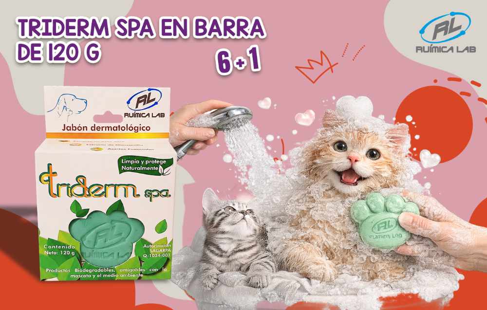 Promociones Febrero 2026