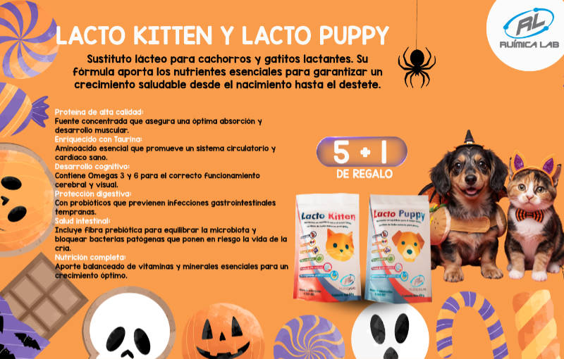 Promociones Septiembre 2026