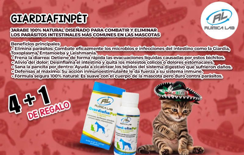 Promociones Septiembre 2026