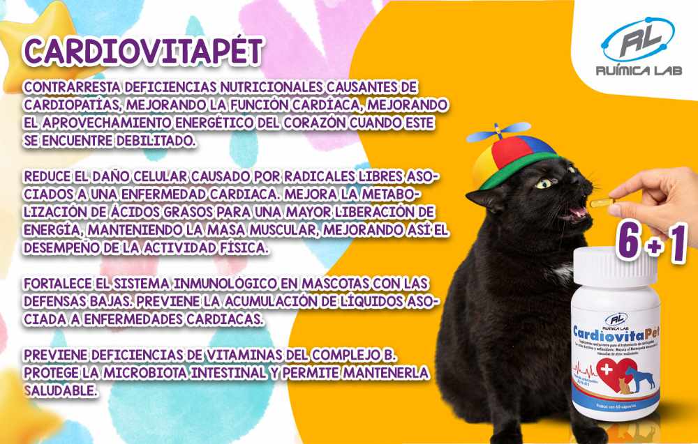 Promociones Marzo 2026