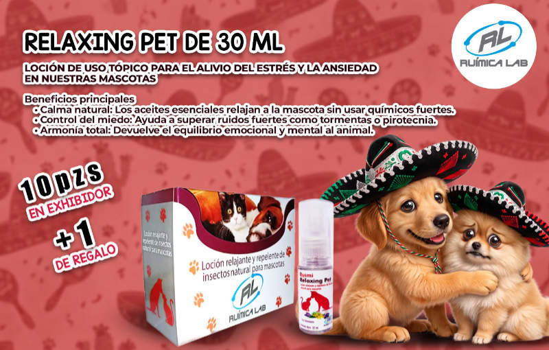 Promociones Septiembre 2026