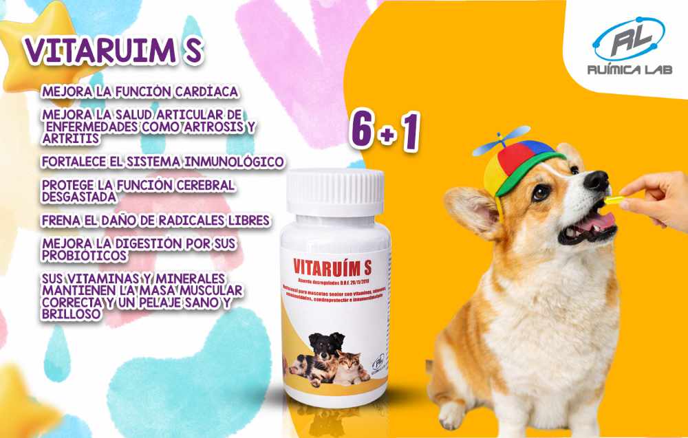 Promociones Marzo 2026