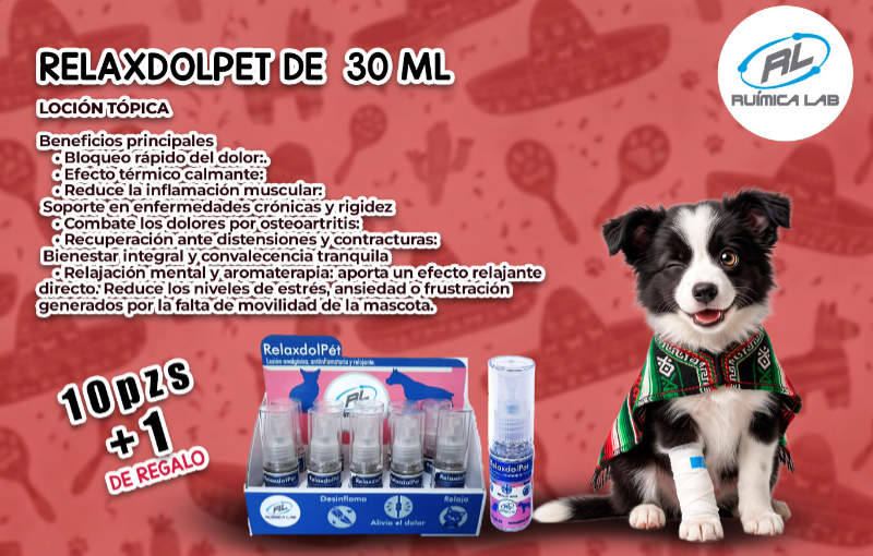 Promociones Septiembre 2026