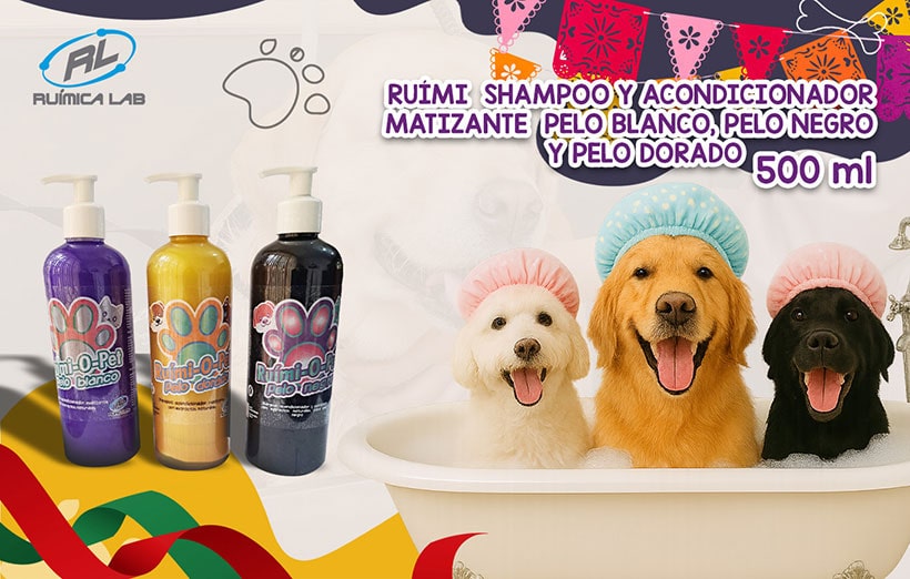 Promociones Septiembre 2025