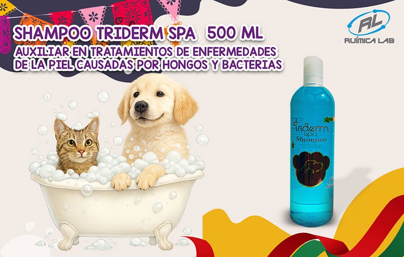Promociones Septiembre 2025