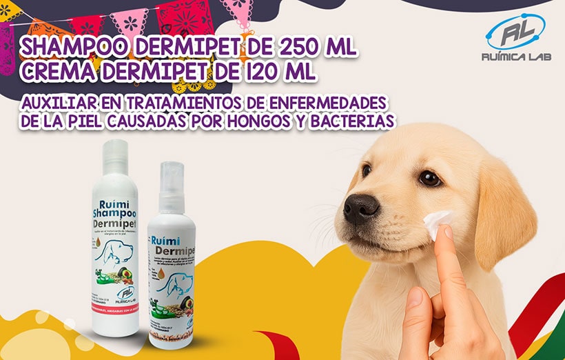 Promociones Septiembre 2025