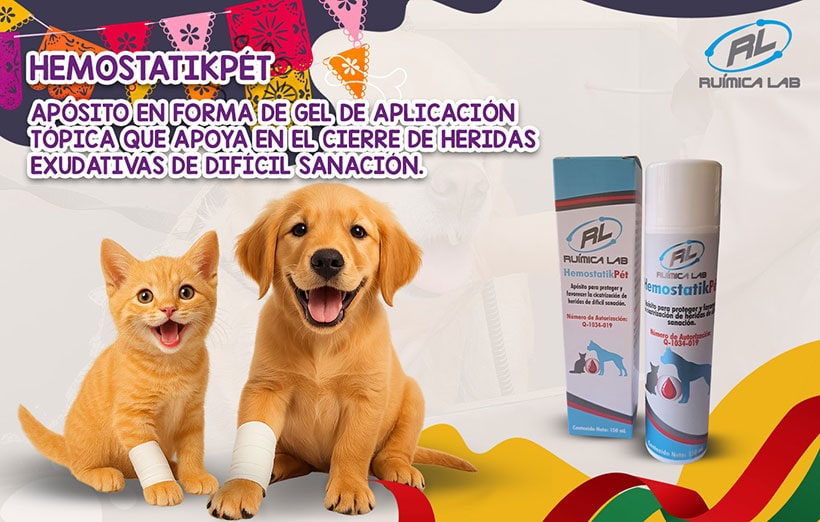 Promociones Septiembre 2025