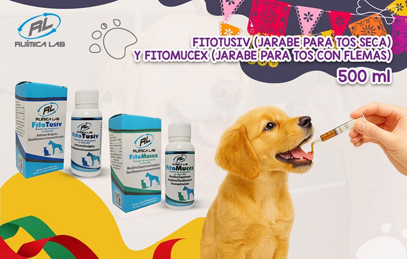 Promociones Septiembre 2025