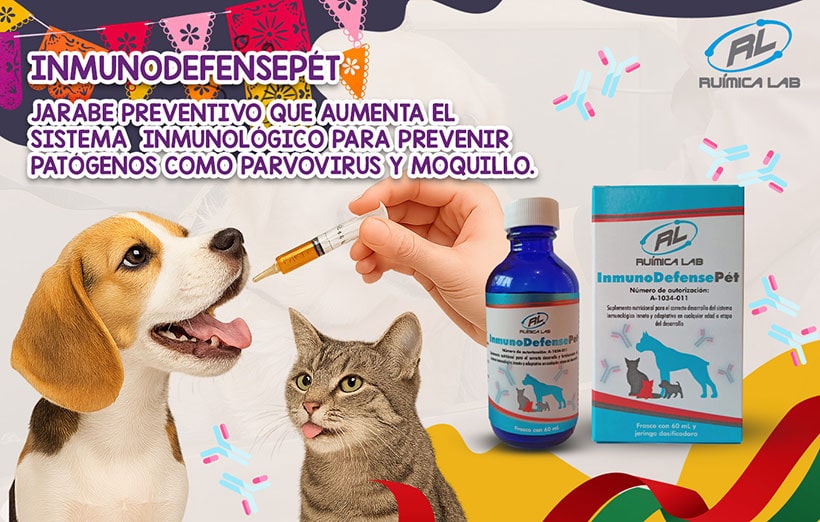 Promociones Septiembre 2025
