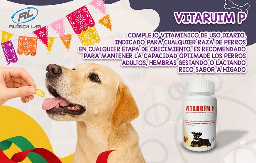 Promociones Septiembre 2025